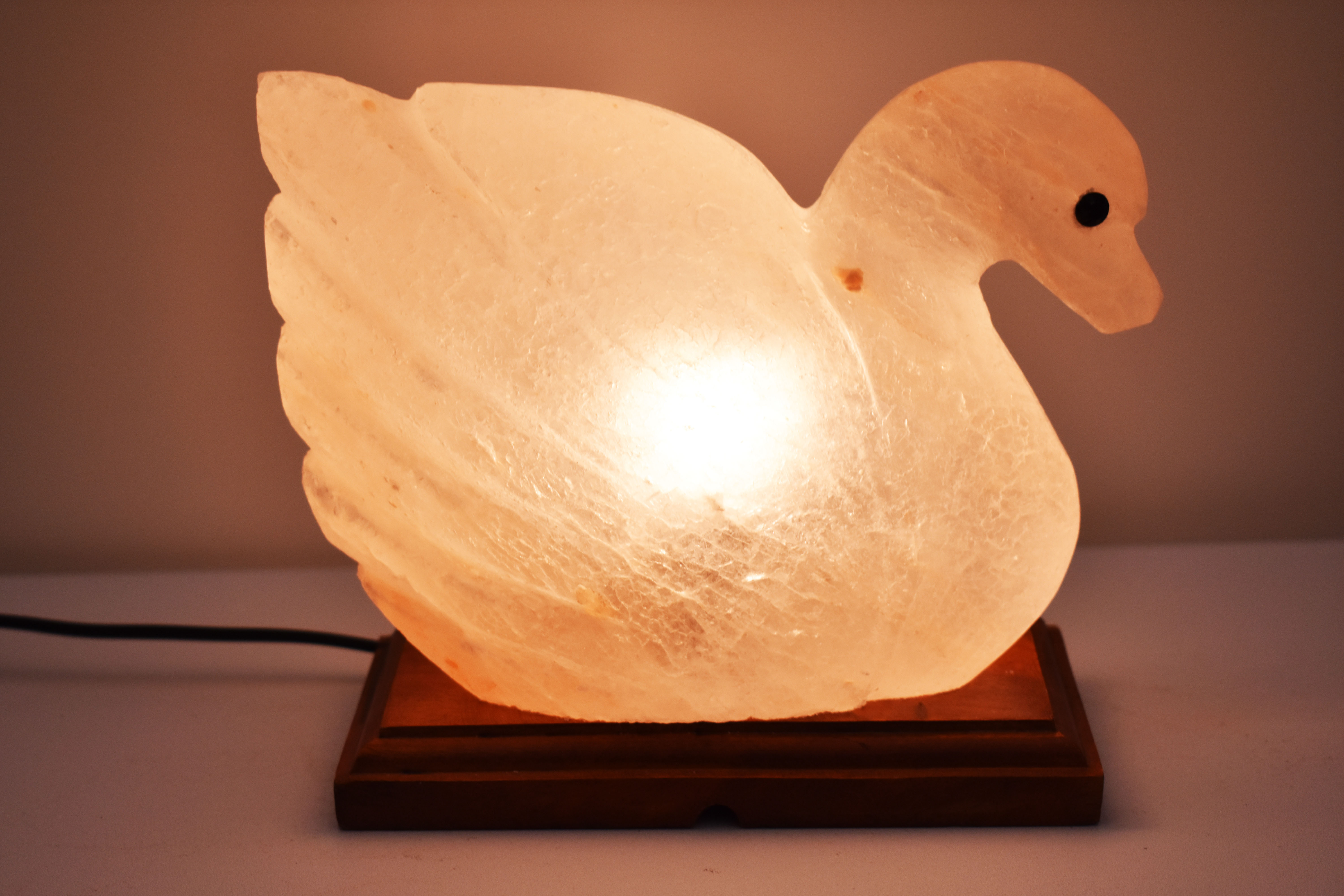 Duck Shape Lamp Salt Cave